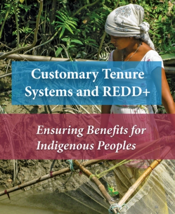 Customary Tenure Systems and REDD+: Ensuring Benefits for Indigenous Peoples