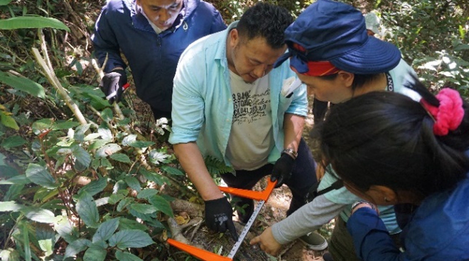 Training of Trainers on Forest Carbon Accounting