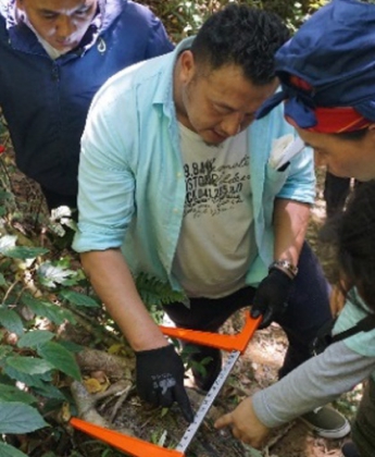 Training of Trainers on Forest Carbon Accounting