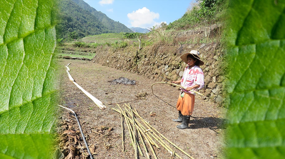 Inputs for the Next Forum of the SCF on “Finance for Nature-Based Solutions”