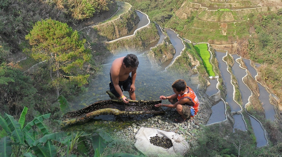 Indigenous Peoples Call for the Protection and Sustainable Management of the Environment