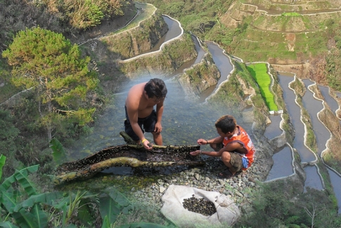 Indigenous Peoples Call for the Protection and Sustainable Management of the Environment