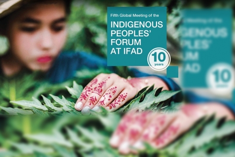 Fifth Global Meeting of the Indigenous Peoples’ Forum at IFAD Culminates with Commitment to Strengthen Engagement