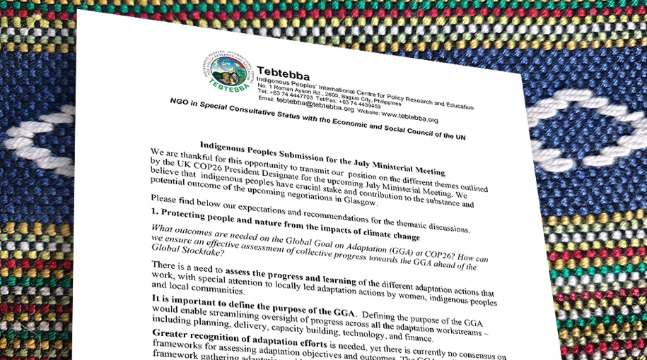 Indigenous Peoples Submission for the July Ministerial Meeting