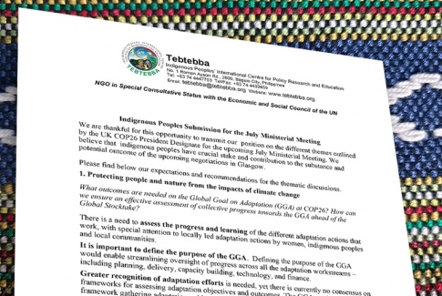 Indigenous Peoples Submission for the July Ministerial Meeting