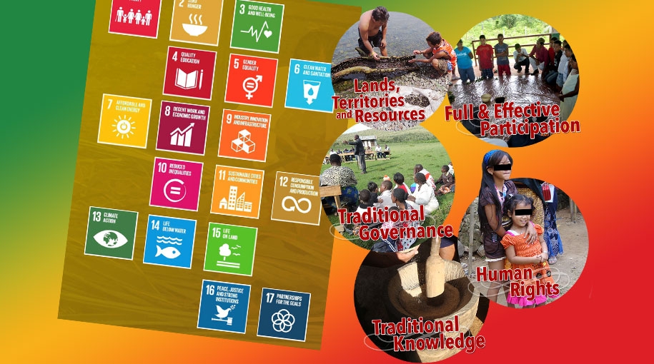 Data: Leaving No Indigenous Peoples Behind in the Achievement of the SDGs