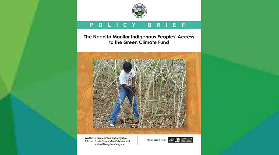 The Need to Monitor Indigenous Peoples' Access to the Green Climate Fund