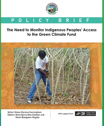 The Need to Monitor Indigenous Peoples' Access to the Green Climate Fund