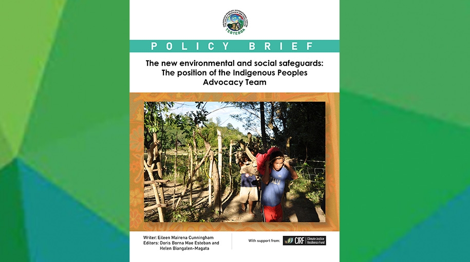 The new environmental and social safeguards: The position of the Indigenous Peoples Advocacy Team