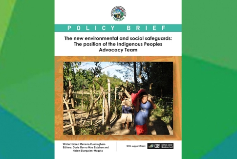 The new environmental and social safeguards: The position of the Indigenous Peoples Advocacy Team