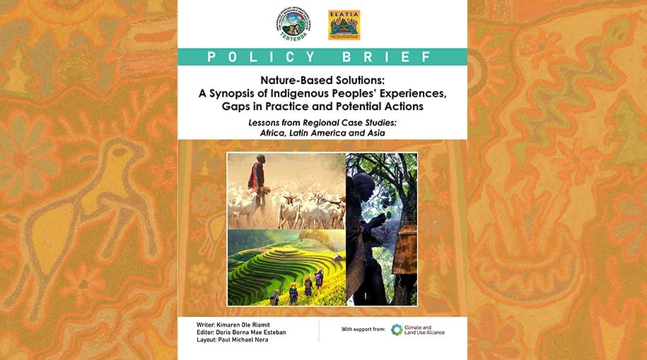 Nature-Based Solutions: A Synopsis of Indigenous Peoples’ Experiences, Gaps in Practice and Potential Actions