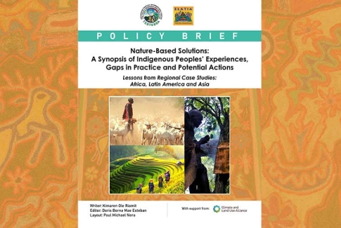 Nature-Based Solutions: A Synopsis of Indigenous Peoples’ Experiences, Gaps in Practice and Potential Actions