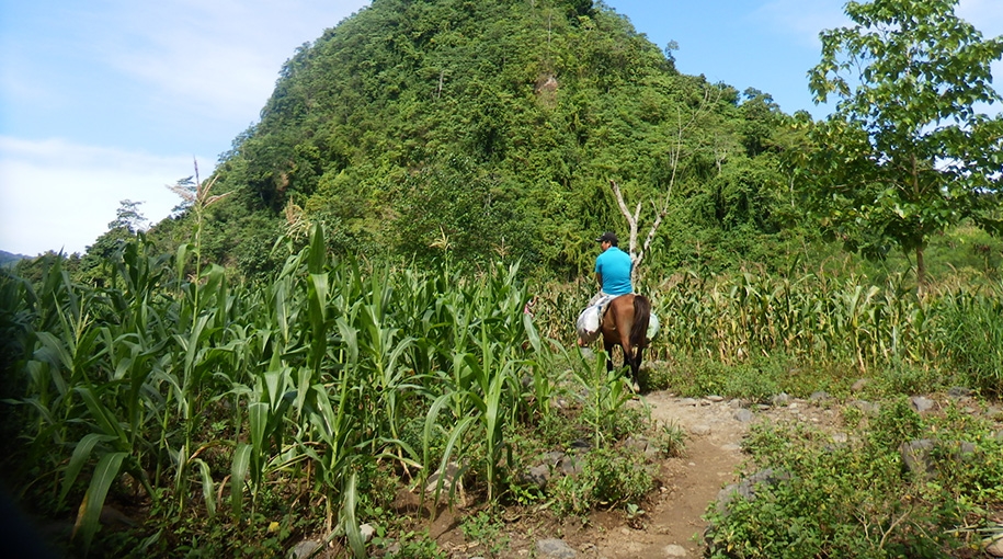 Ensuring Indigenous Land Rights in Business and Extractive Industry