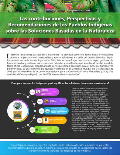 Las contribuciones, Perspectivas y Recomendaciones de los Pueblos Indígenas sobre las Soluciones Basadas en la Naturaleza