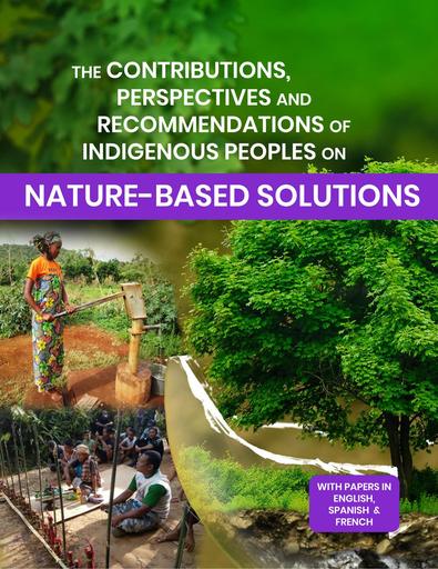 The Contributions, Perspectives and Recommendations of Indigenous Peoples on Nature-based Solutions (with papers in EN, ES and FR)