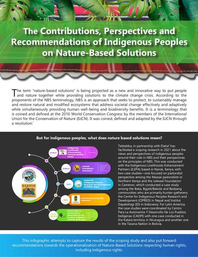 The Contributions, Perspectives and Recommendations of Indigenous Peoples on Nature-Based Solutions (Infographic)