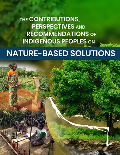 The Contributions, Perspectives and Recommendations of Indigenous Peoples on Nature-based Solutions (EN)