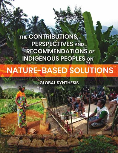 The Contributions, Perspective and Recommendations of Indigenous Peoples on Nature-based Solutions: Global Synthesis