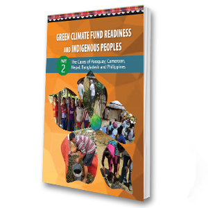 Green Climate Fund Readiness and Indigenous Peoples (PART 2): The Cases of Paraguay, Cameroon, Nepal, Bangladesh and Philippines