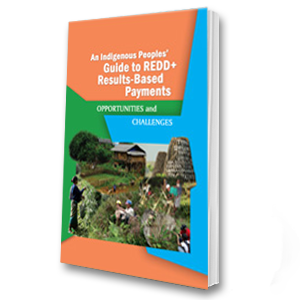 An Indigenous Peoples’ Guide to REDD+ Results-Based Payments: Opportunities and Challenges