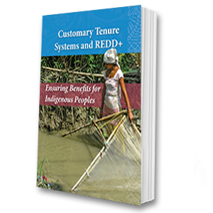 Customary Tenure Systems and REDD+: Ensuring Benefits for Indigenous Peoples