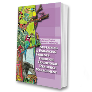 Sustaining & Enhancing Forests Through Traditional Resource Management