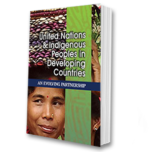 United Nations and Indigenous Peoples in Developing Countries: An Evolving Partnership