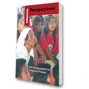 Indigenous Perspectives (Vol. 8, No. 2, 2007): Data Disaggregation for Indigenous Peoples